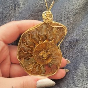 14k gold filled wire wrapped ammonite
